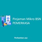 Pinjaman Mikro BSN